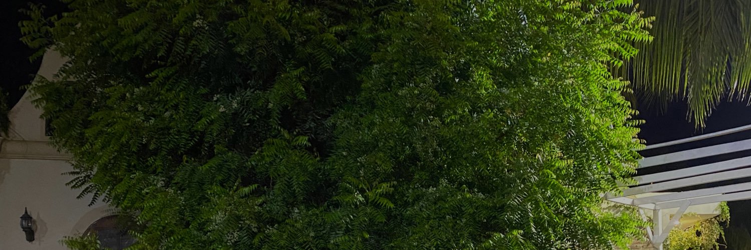 heyarantza's profile banner image