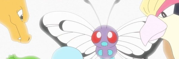 Ot_Pidgeot Profile Banner