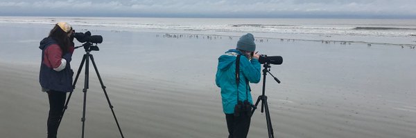 MMPelton Profile Banner