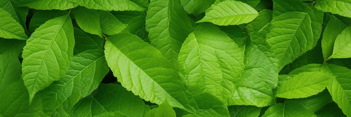 maycon_gabriel_'s profile banner image