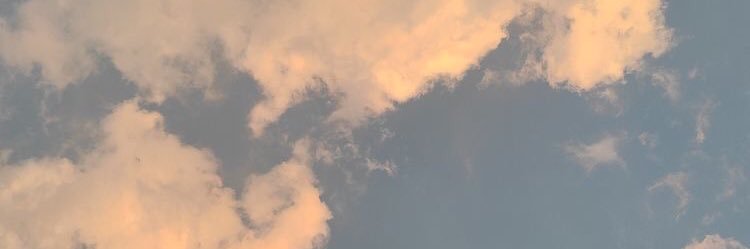 sherrintjandra's profile banner image