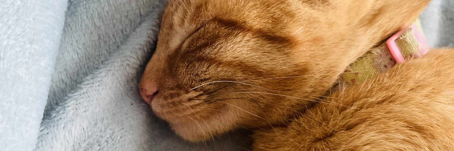 immarihh's profile banner image