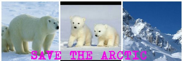bren_duck Profile Banner