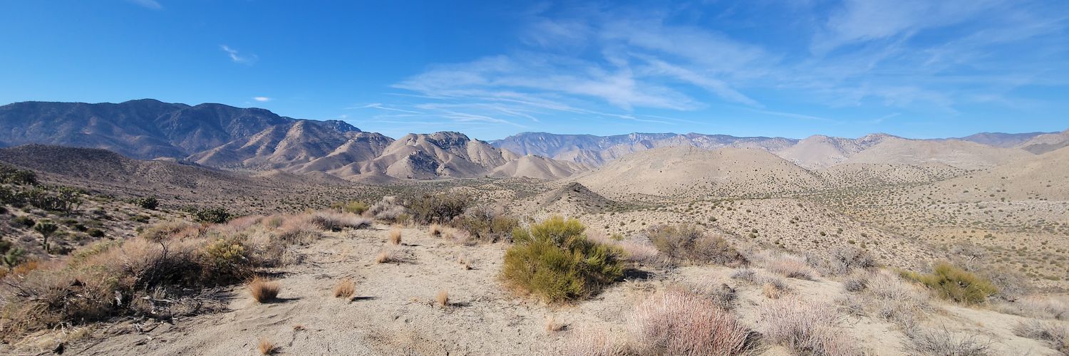 B!T$L@Y3R _ zinu (Paul) banner