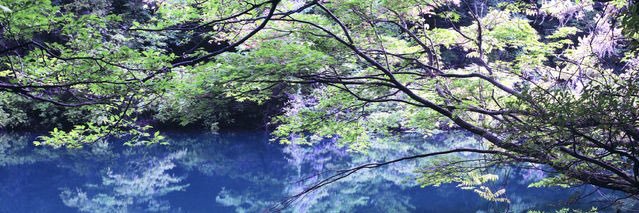 うたくし banner