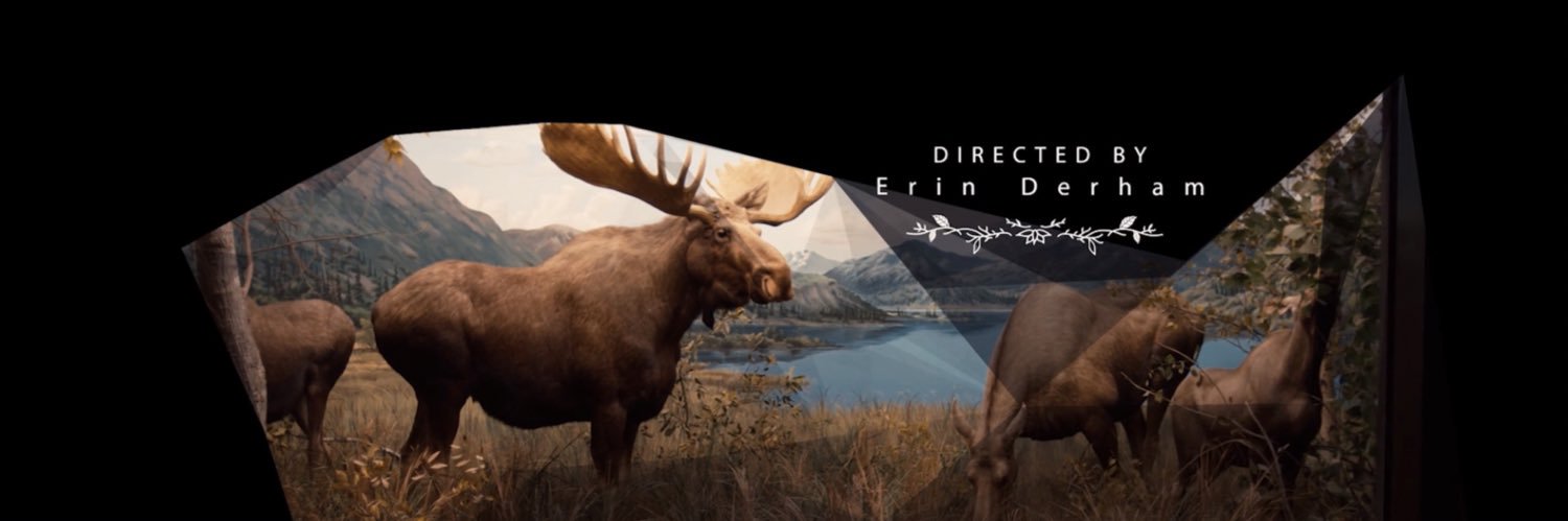 Erin Derham's banner