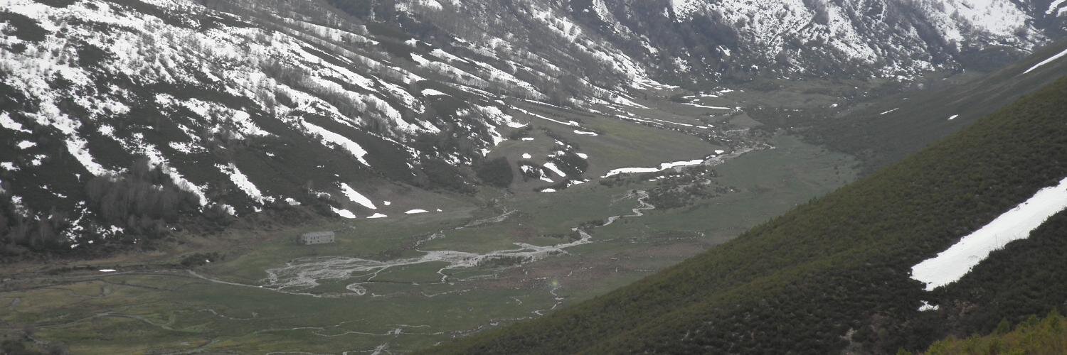 peinafarolas's profile banner image