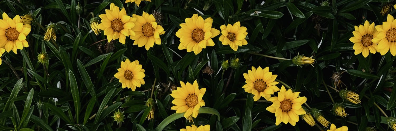 Kret🧘🏽‍♀️ banner