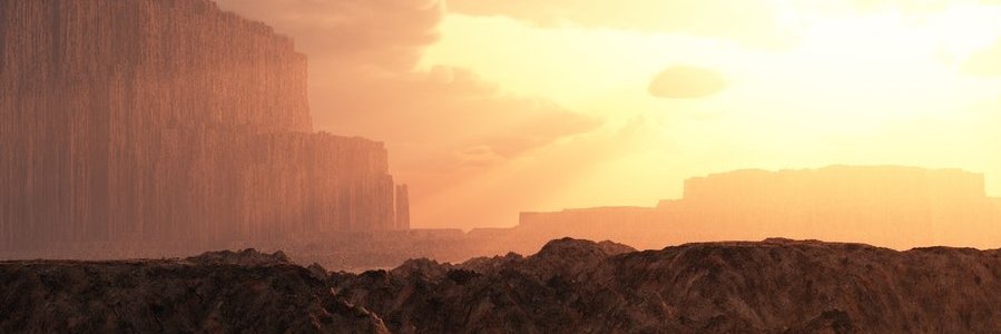 winsness's profile banner image