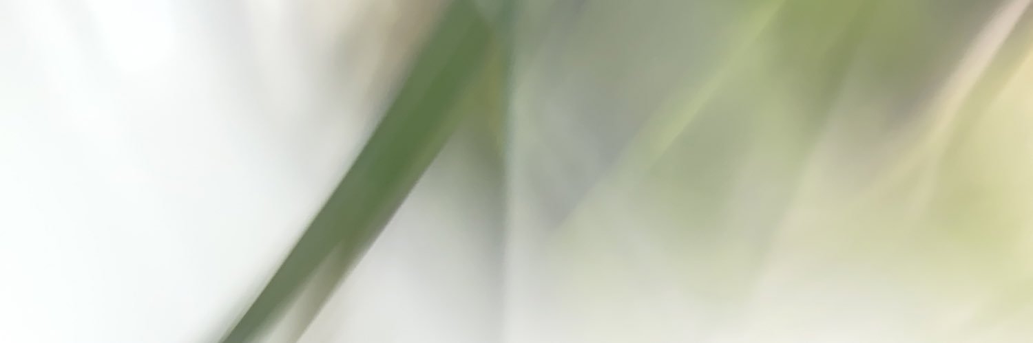 amyjmerrill's profile banner image