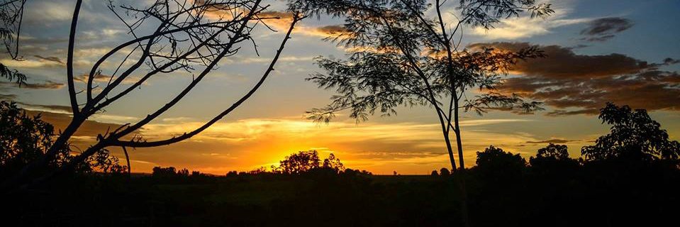 lucas_gian's profile banner image