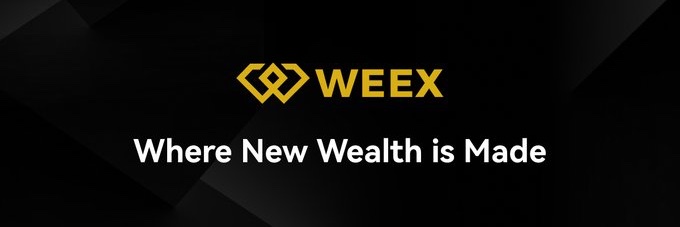 Shrekwebz.btc's banner