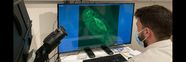 G_Bengoetxea Profile Banner