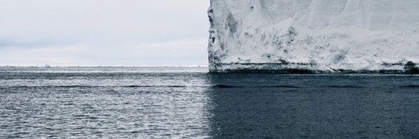Comounguepardo Profile Banner