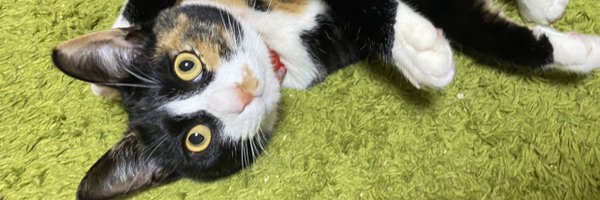 fine49 Profile Banner