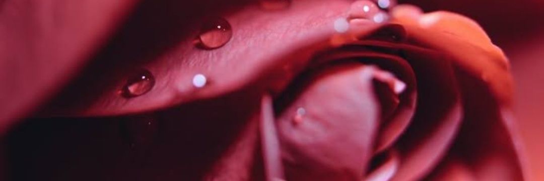 Krystalof1's profile banner image