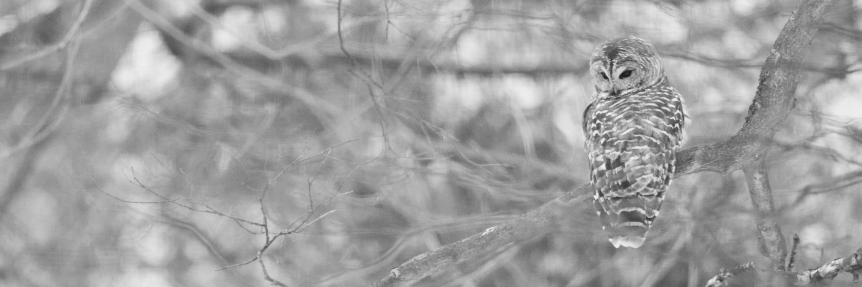 jeremycloud's profile banner image