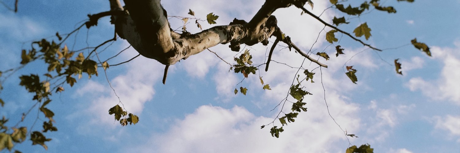 _maisiiie's profile banner image