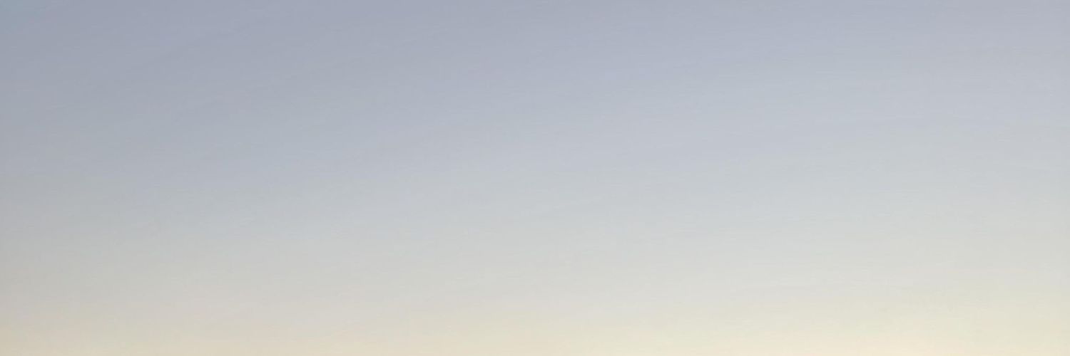 sisi banner