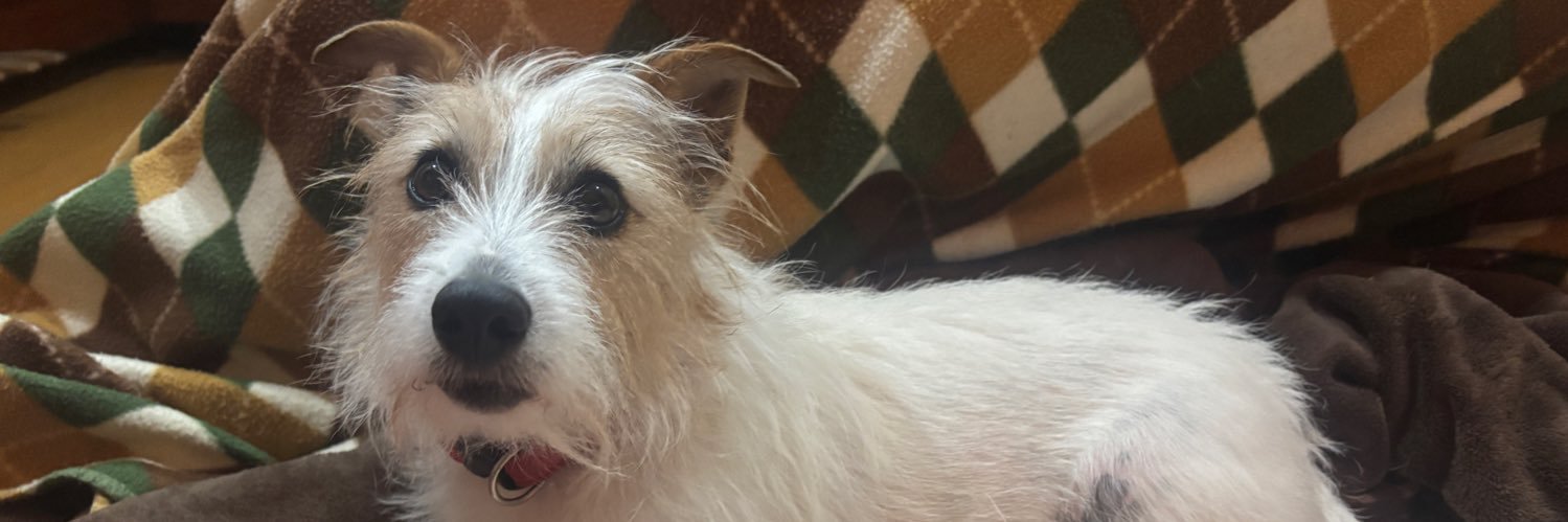 あめしこ🐶収〒"ン S8 banner
