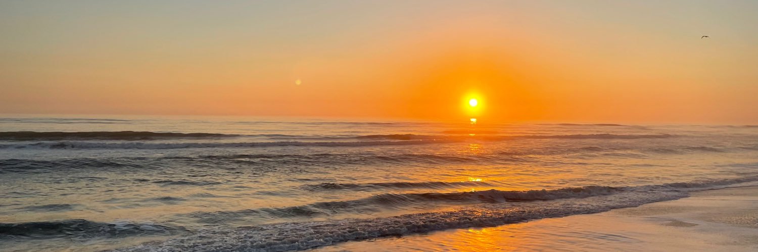 Barbara Perzanowski banner