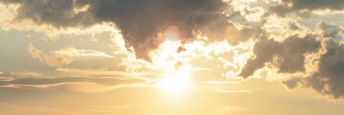 Magot_Juno's profile banner image