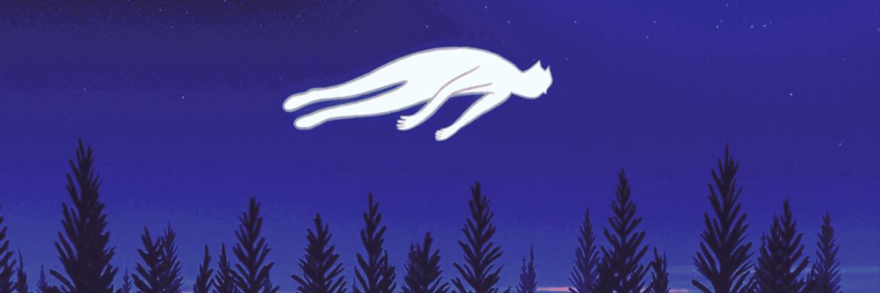 cheTesta's profile banner image