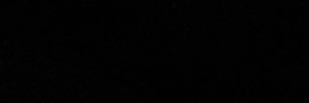 Francesca 🌻 banner