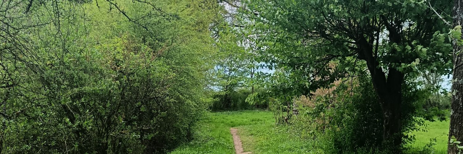 Stéphanie LE PELLETER banner