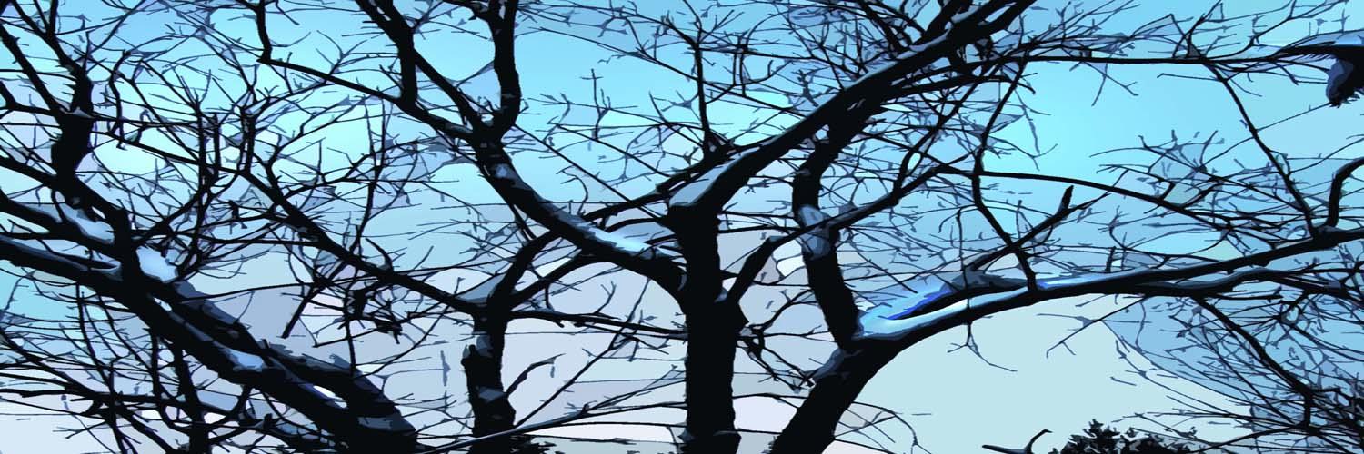 Bebop's Place banner