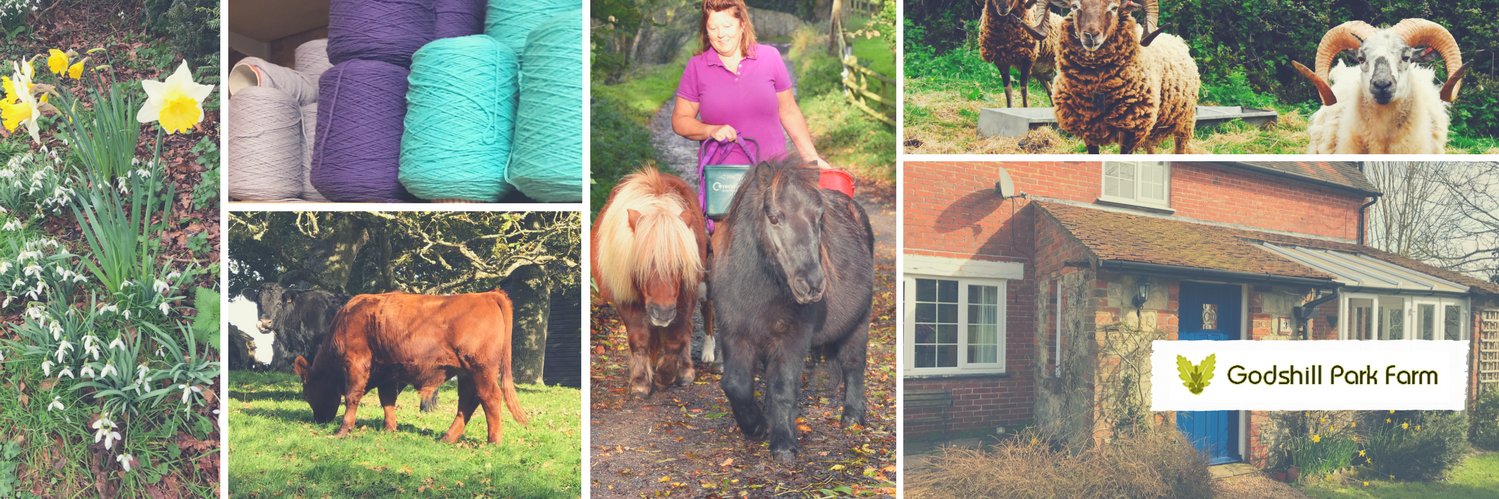 GodshillFarm's profile banner image