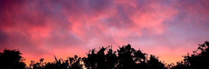 OAndEr281's profile banner image