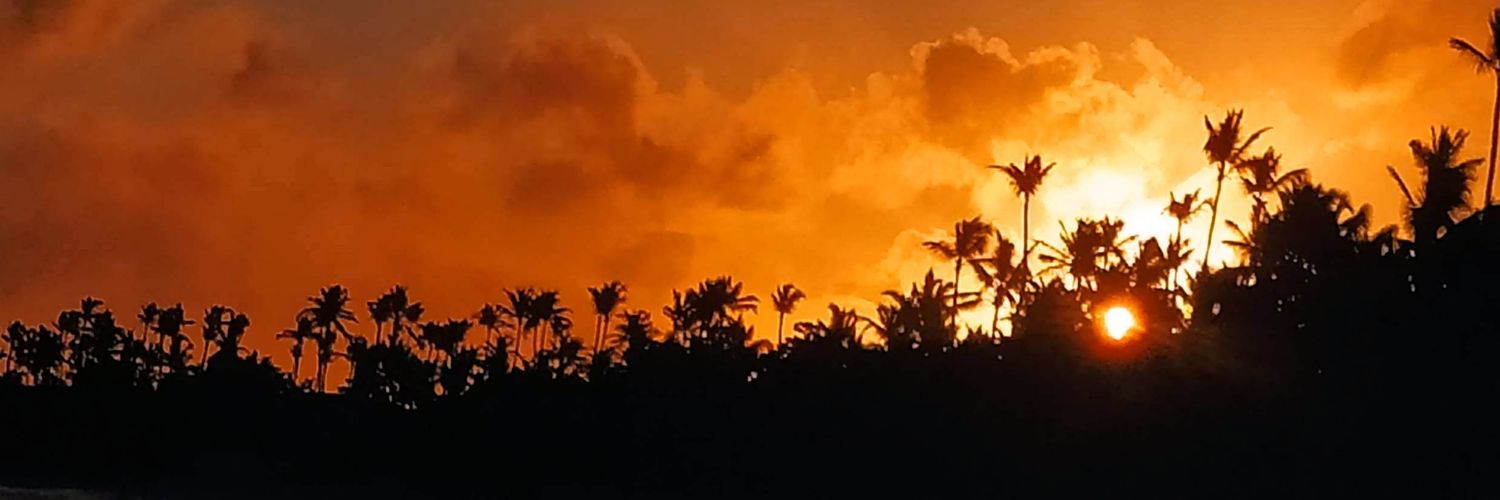 ElSinNariz's profile banner image