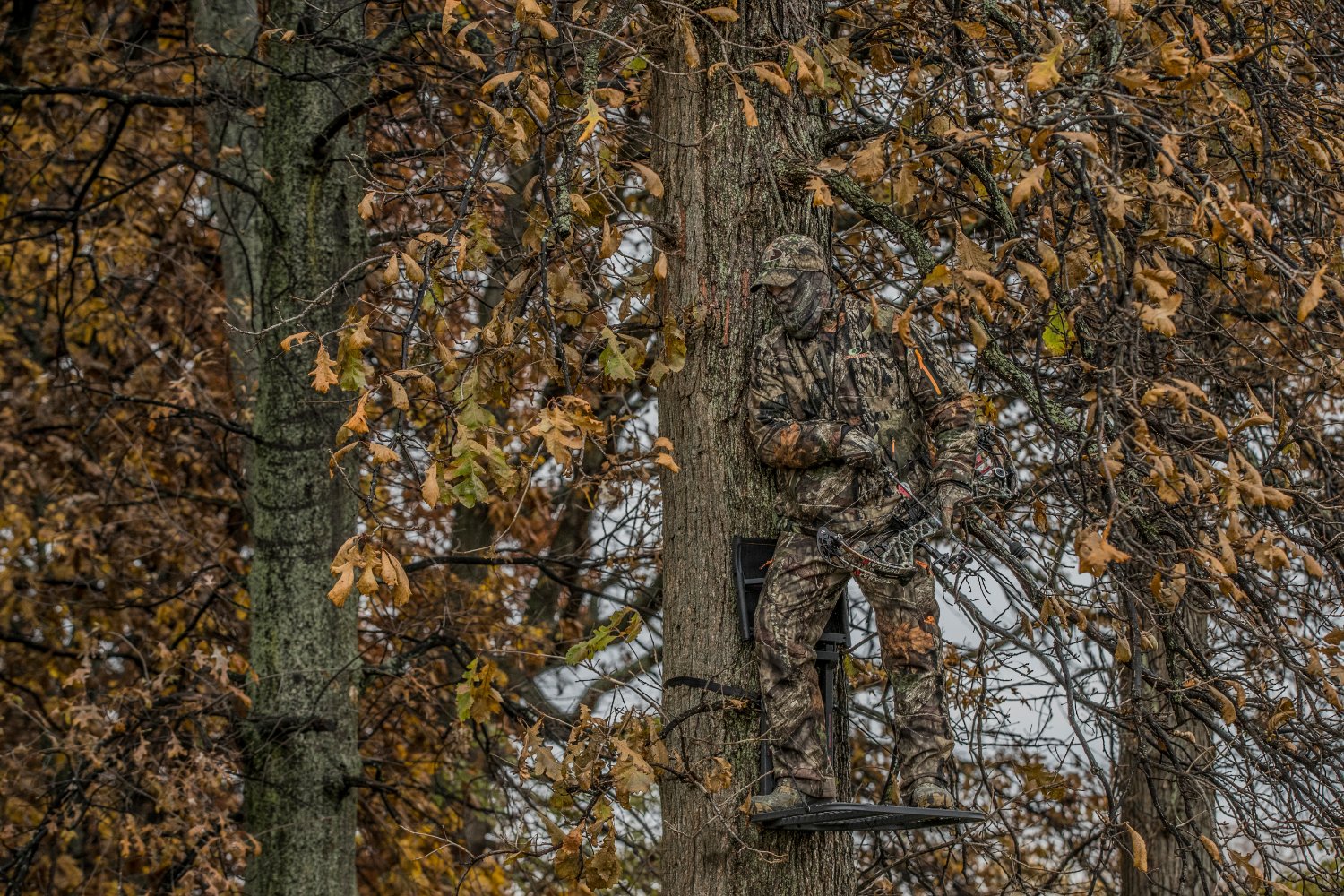MossyOakStore's profile banner image
