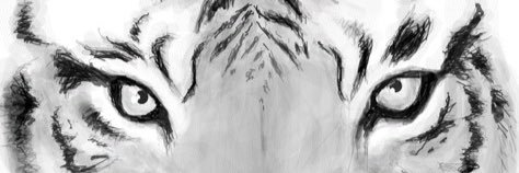 ameliaksmd's profile banner image