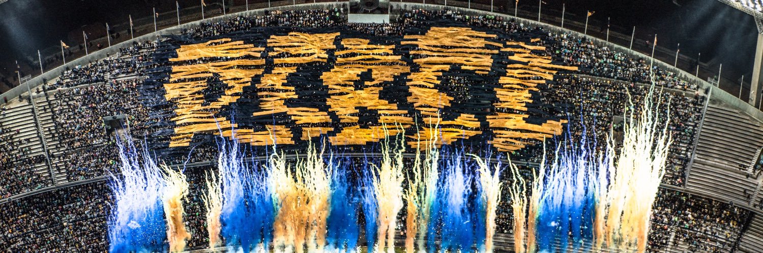 Mr. Mojo Risin' banner