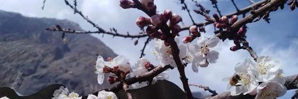 Professor__BTC Profile Banner