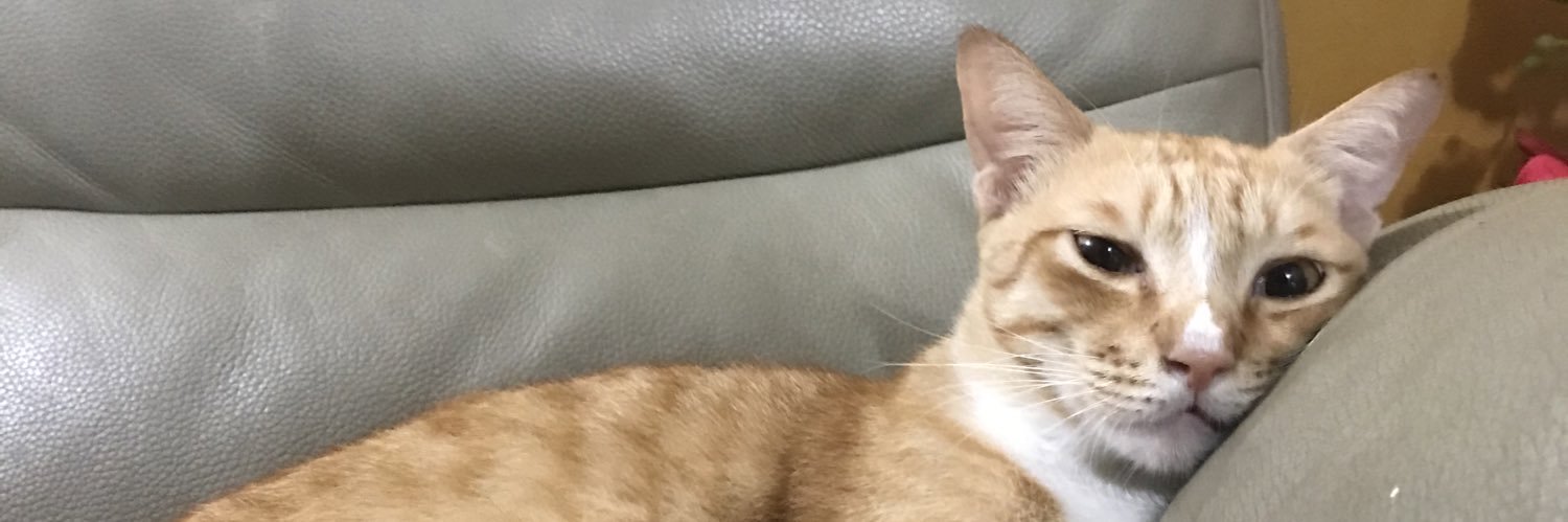 tenangjela_'s profile banner image