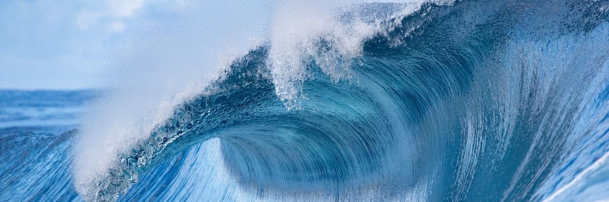 Shellfyre_'s profile banner image
