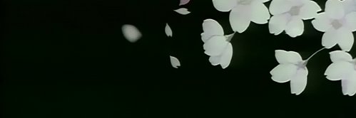 ㄥ૦ᵘʏ𝘴🎐 banner