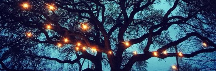 JohnaMert's profile banner image