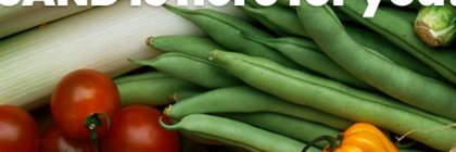 Mississippi Academy of Nutrition and Dietetics banner