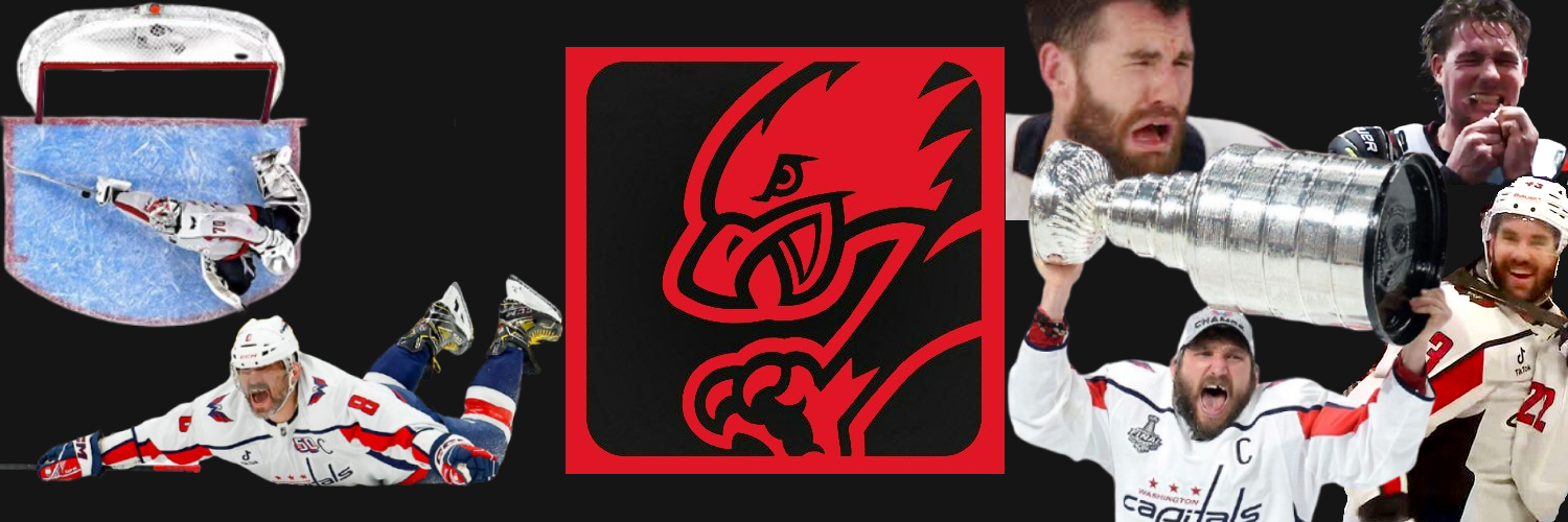 Screagle banner