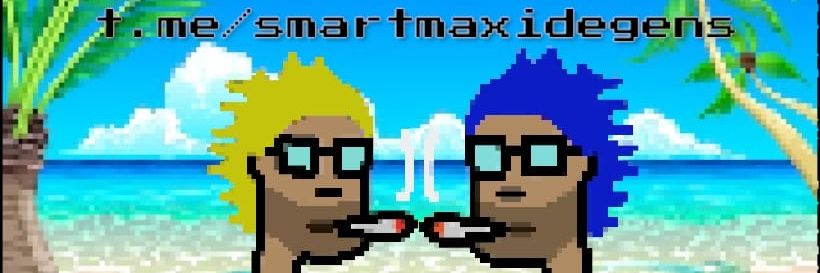 SmartMaxi banner