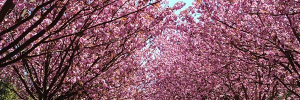 Solvar1976 Profile Banner