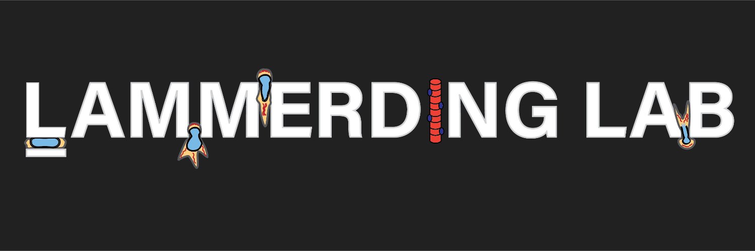 Lammerding Lab's banner