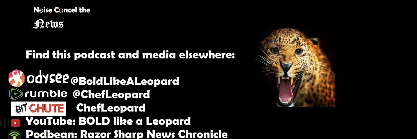 Razor Ray McCoy banner