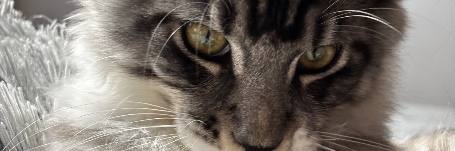 michaele006's profile banner image