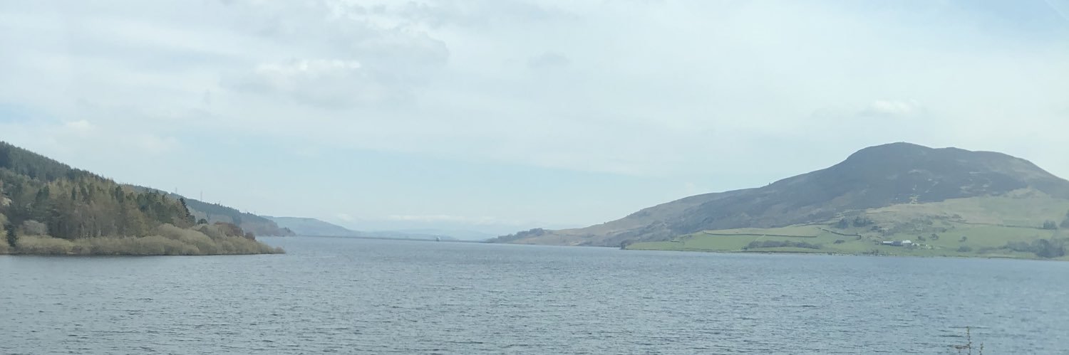 Vikki Hammond banner