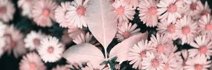 andreae15965050's profile banner image